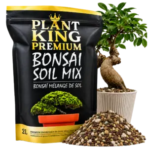 Plant King Premium Bonsai Potting Soil Mix