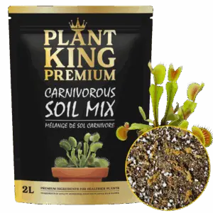 Plant King Premium Carnivorous 2L Soil