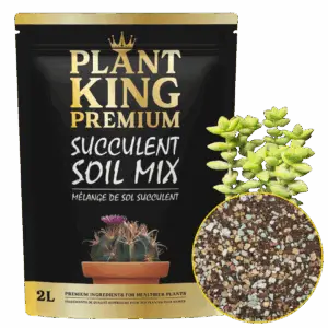Plant King Premium Cactus & Succulent 2L Soil