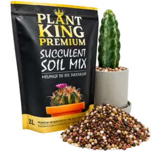 Plant King Premium Cactus and Succulent Potting Soil Mix