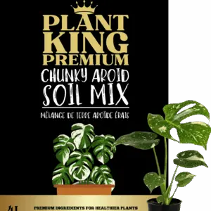 Premium Chunky Aroid Mix